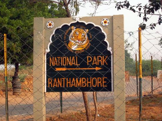ranthambore-national